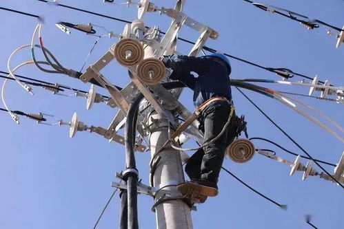 国网洛宁供电公司 以 电 为动力 激发乡村振兴活力